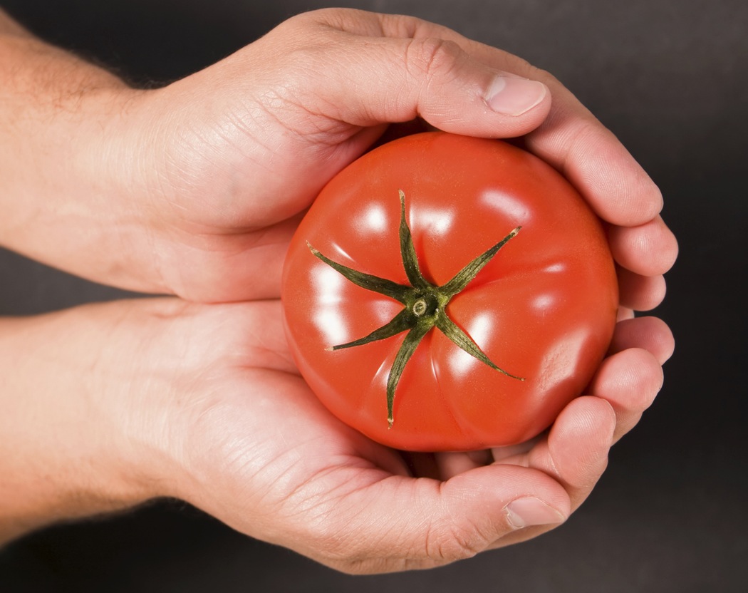 Why Grocery Store Tomatoes Taste Bland